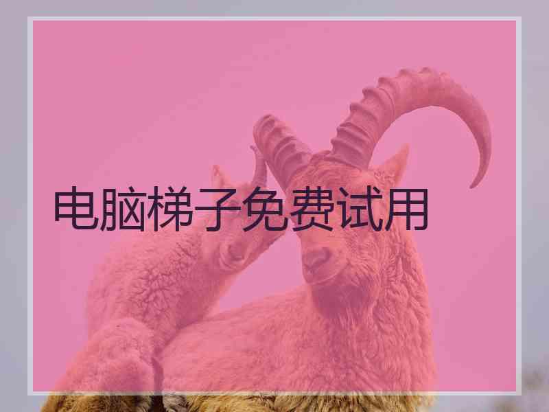 电脑梯子免费试用