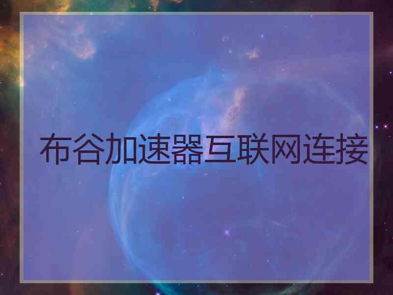 布谷加速器互联网连接