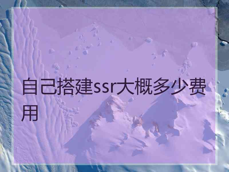 自己搭建ssr大概多少费用