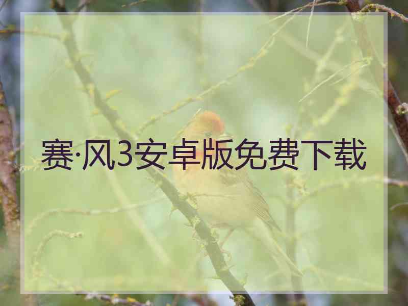赛·风3安卓版免费下载