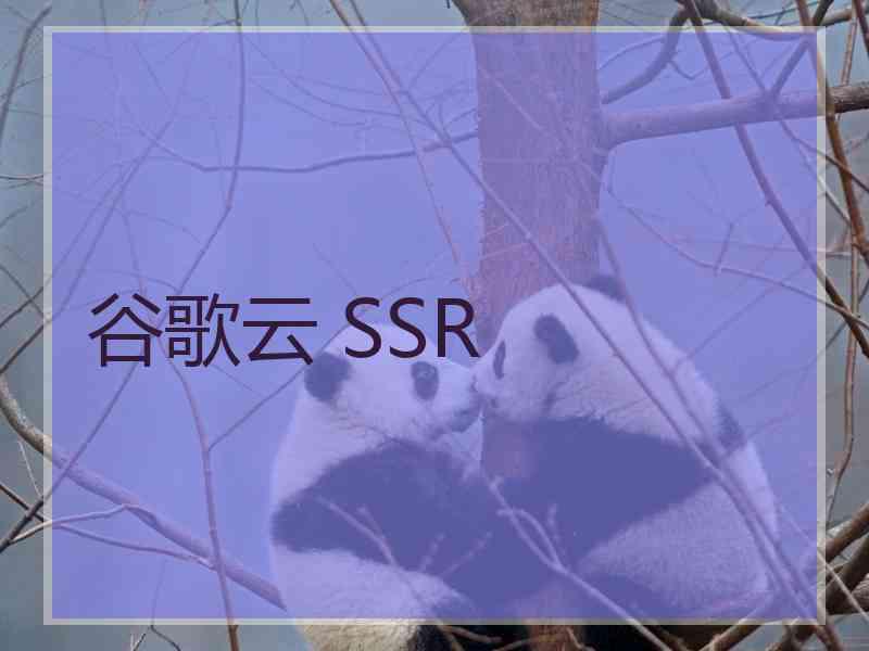 谷歌云 SSR