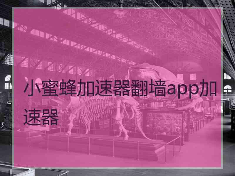 小蜜蜂加速器翻墙app加速器