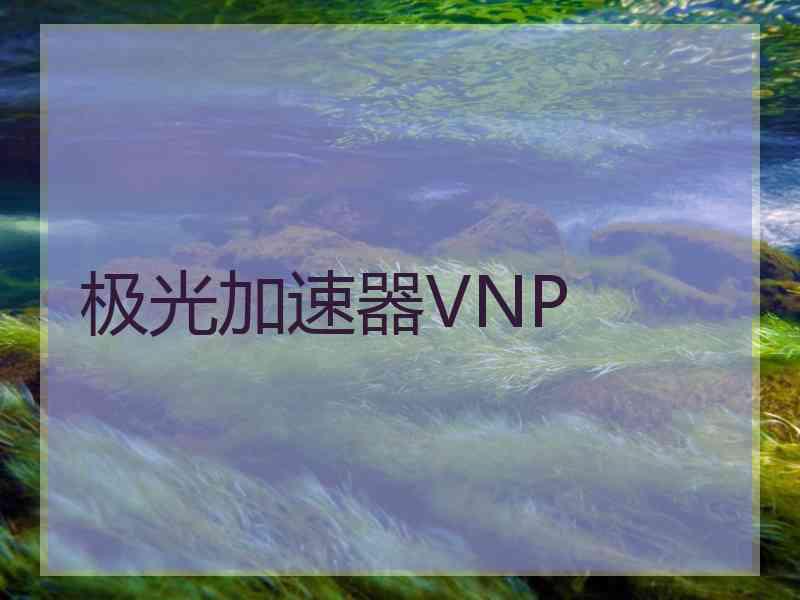 极光加速器VNP