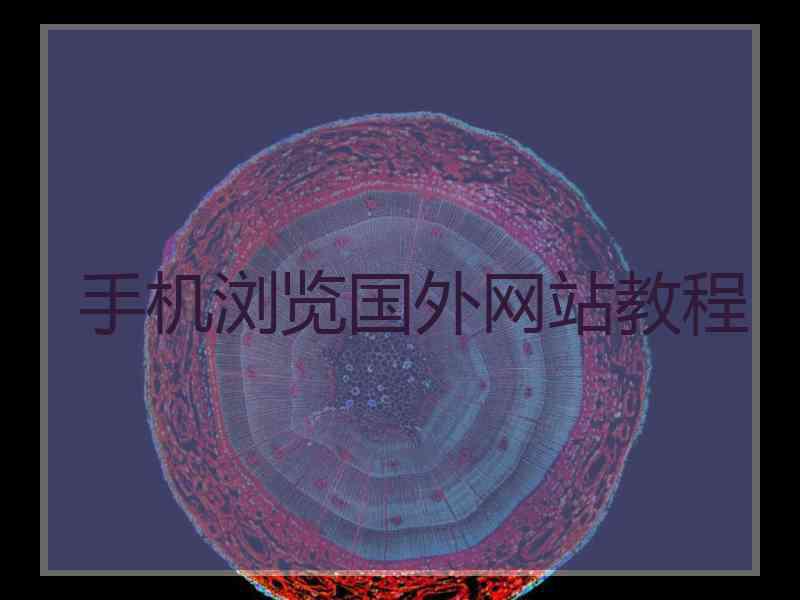 手机浏览国外网站教程