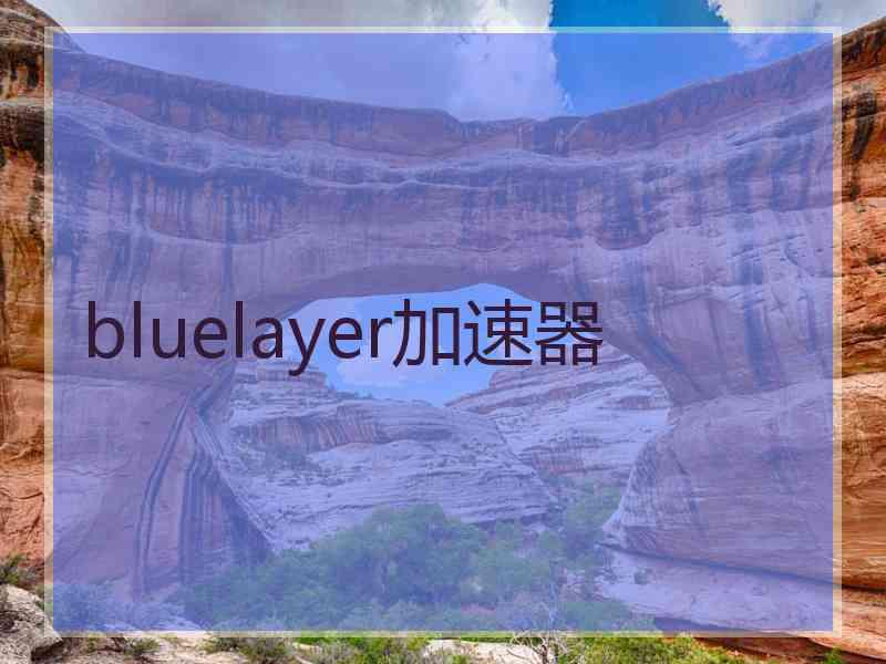 bluelayer加速器
