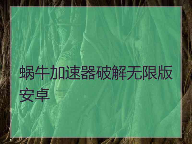 蜗牛加速器破解无限版安卓
