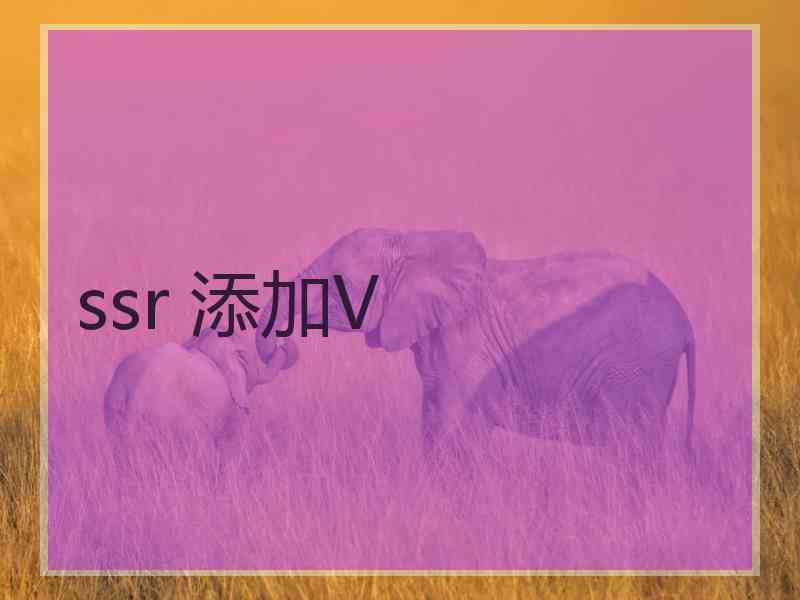 ssr 添加V