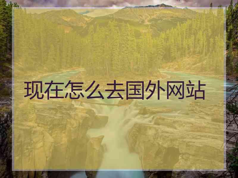 现在怎么去国外网站