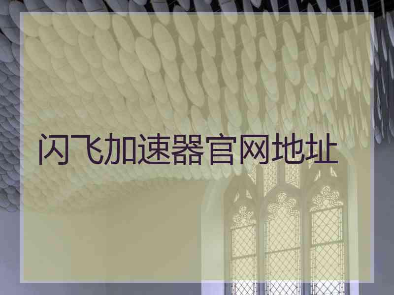 闪飞加速器官网地址