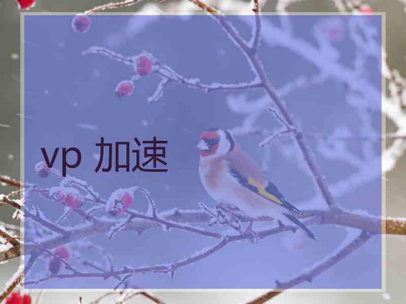 vp 加速
