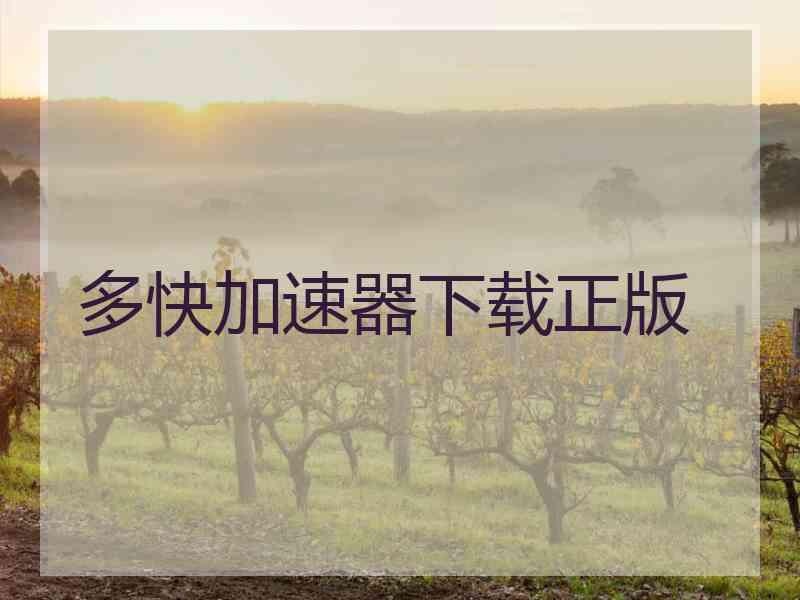 多快加速器下载正版