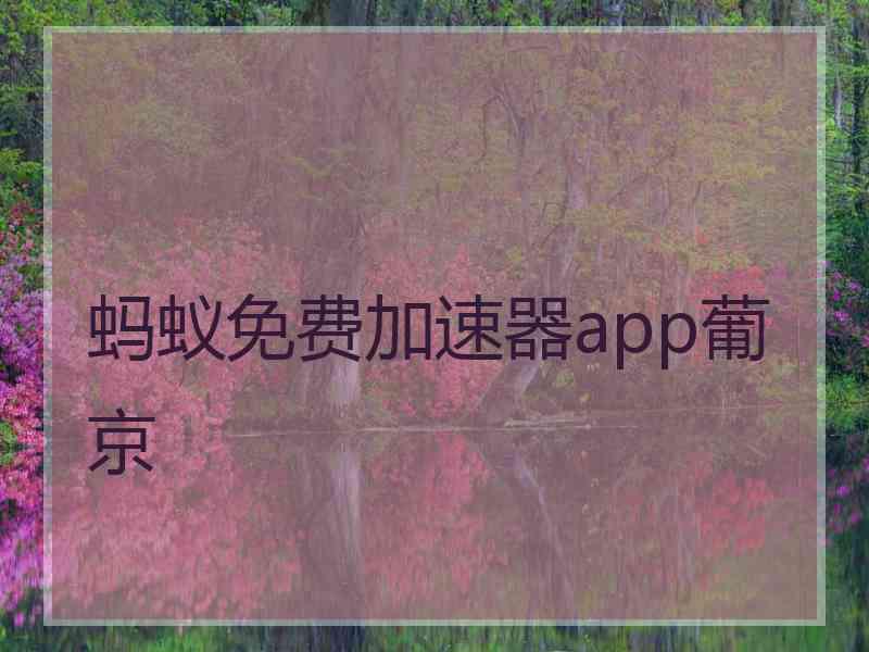 蚂蚁免费加速器app葡京