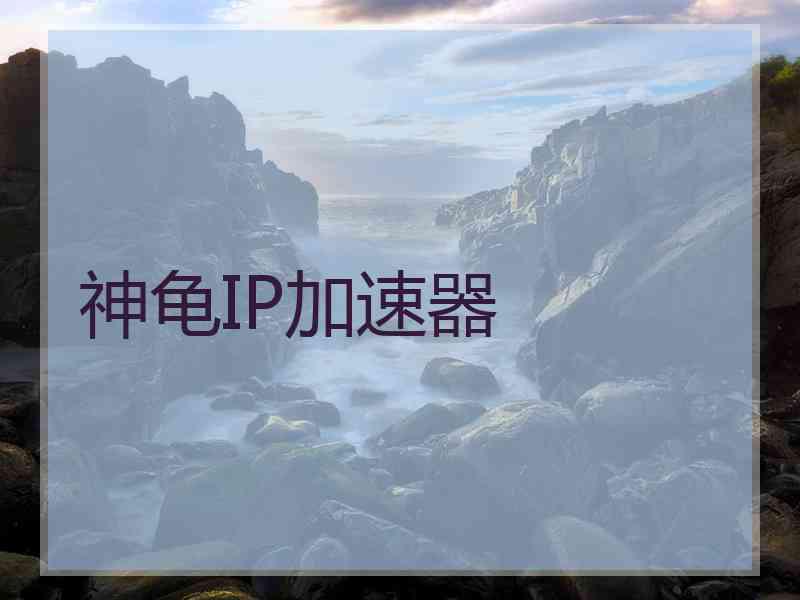神龟IP加速器