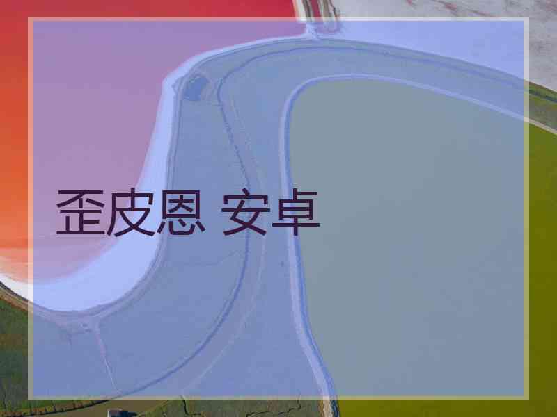 歪皮恩 安卓
