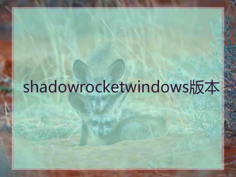 shadowrocketwindows版本