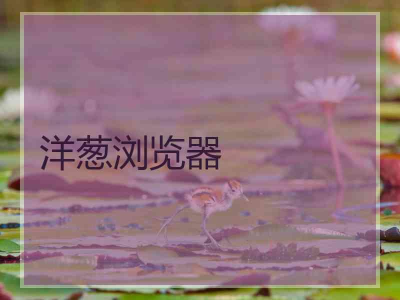 洋葱浏览器