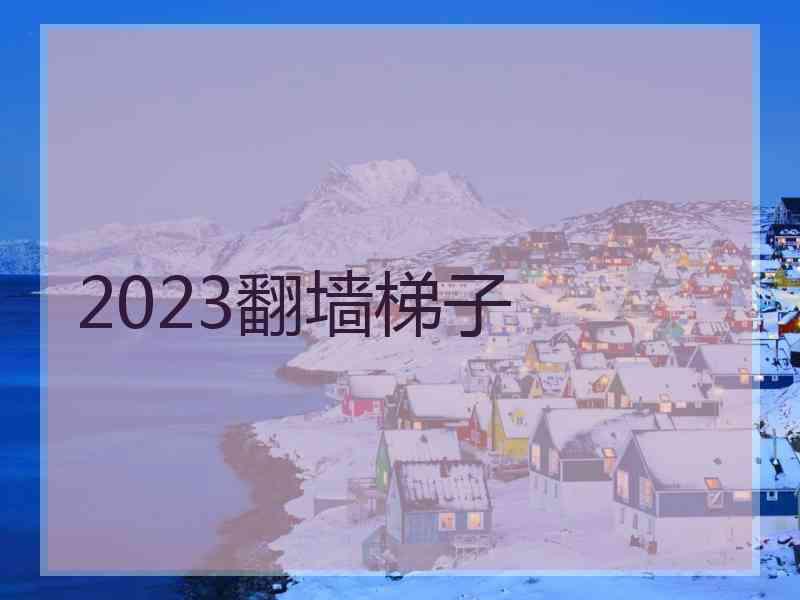 2023翻墙梯子