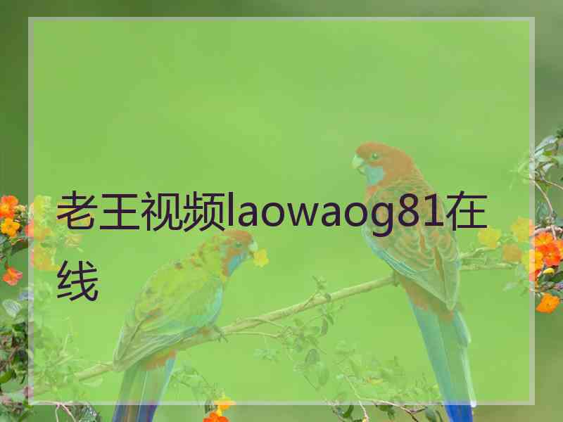 老王视频laowaog81在线