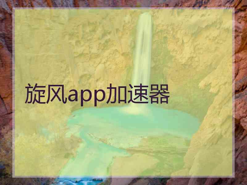 旋风app加速器