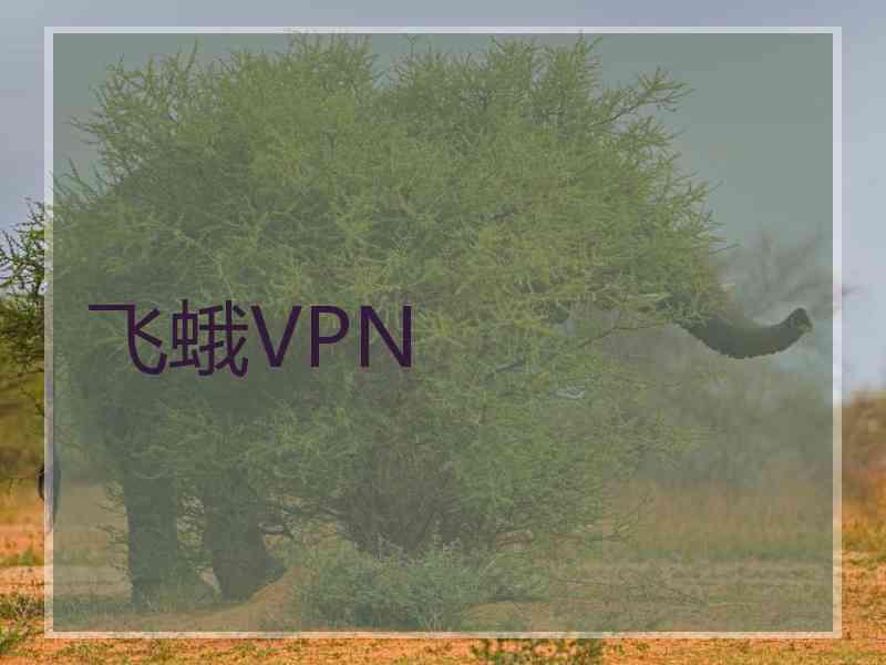 飞蛾VPN