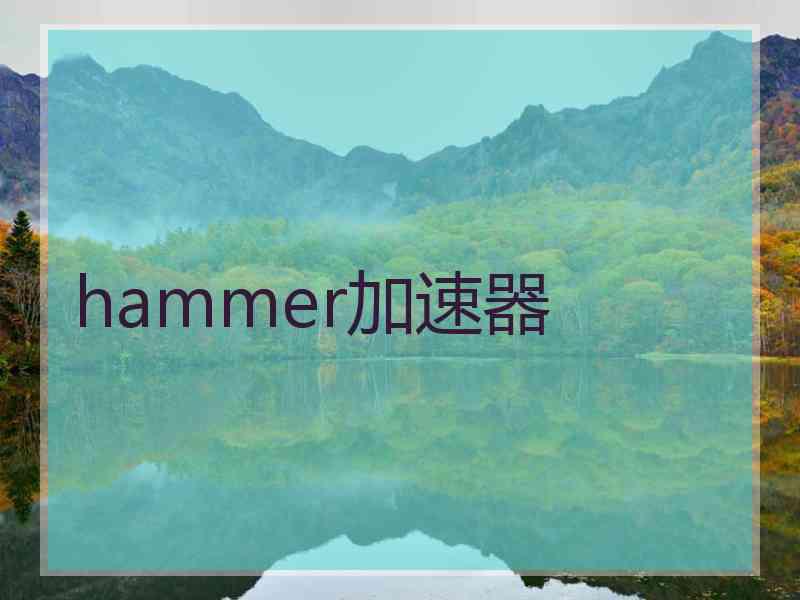 hammer加速器