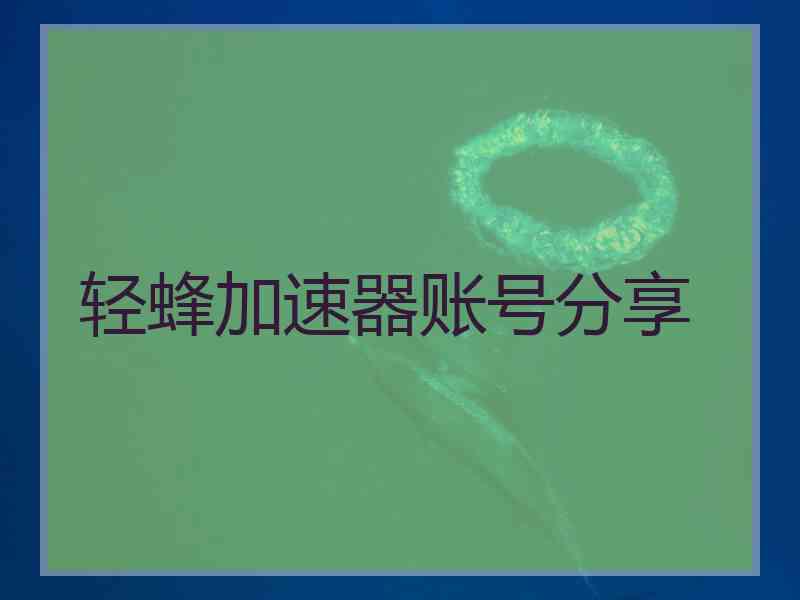 轻蜂加速器账号分享