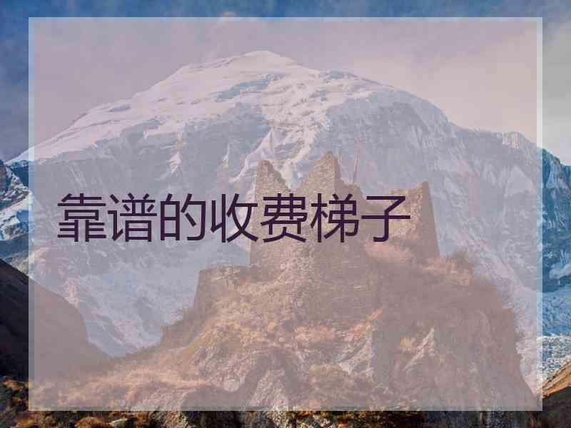 靠谱的收费梯子