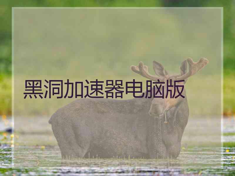 黑洞加速器电脑版