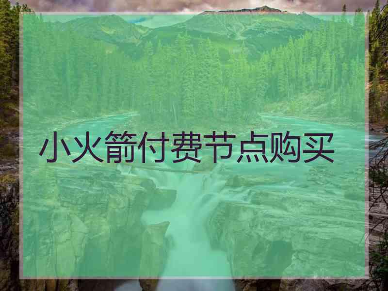 小火箭付费节点购买