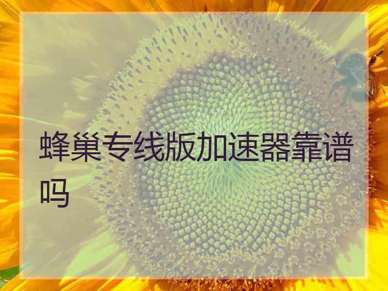 蜂巢专线版加速器靠谱吗