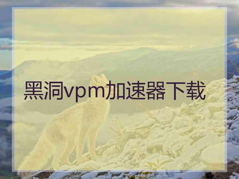 黑洞vpm加速器下载