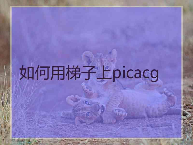 如何用梯子上picacg