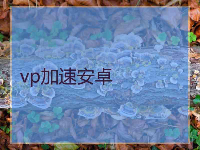 vp加速安卓