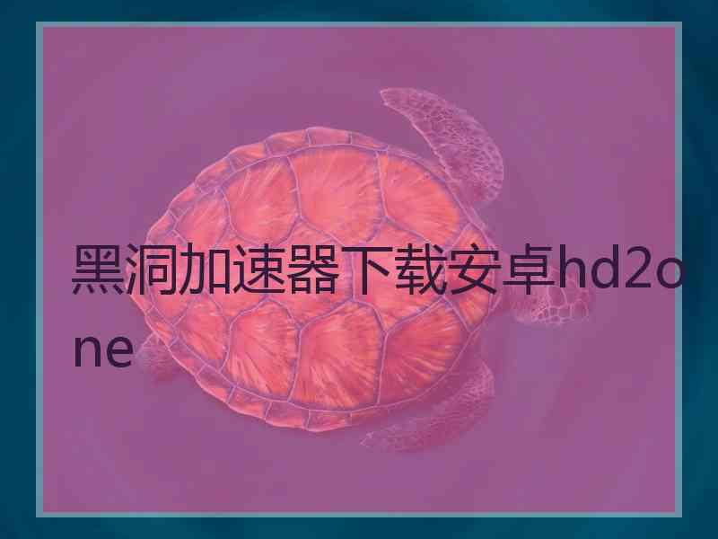 黑洞加速器下载安卓hd2one