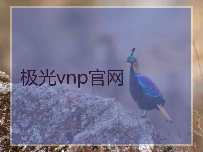 极光vnp官网
