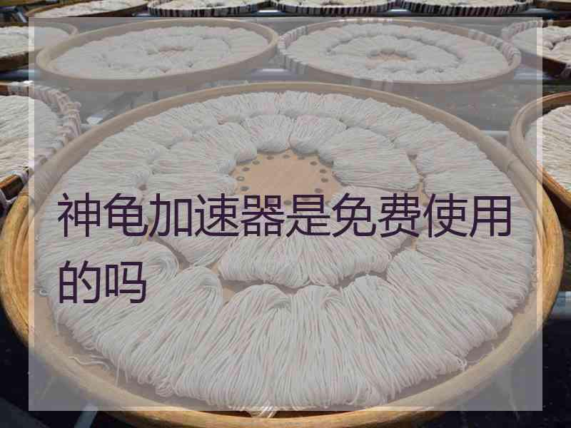 神龟加速器是免费使用的吗