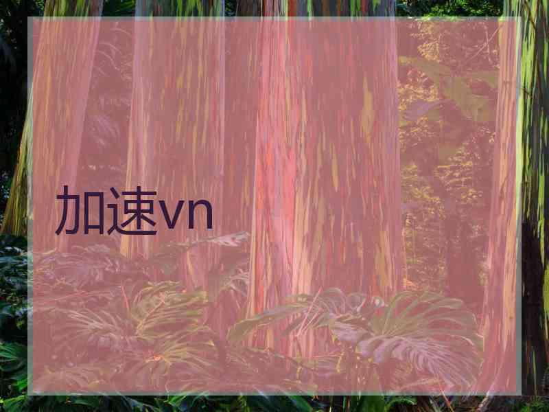 加速vn