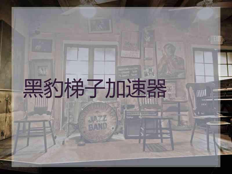 黑豹梯子加速器
