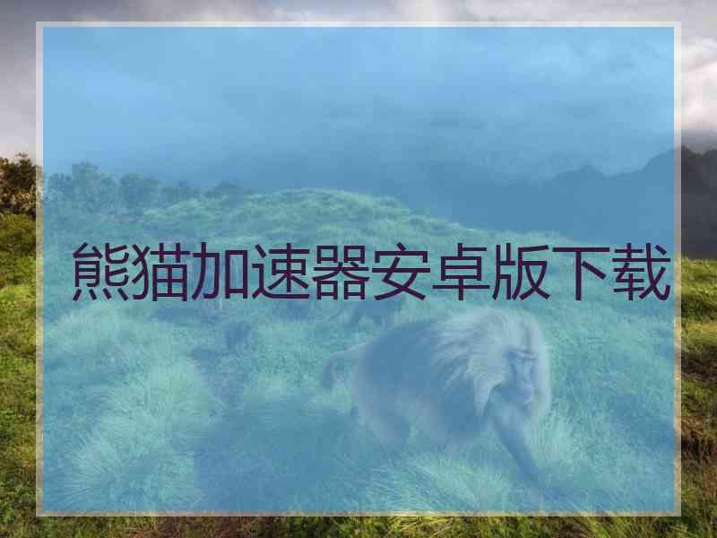 熊猫加速器安卓版下载