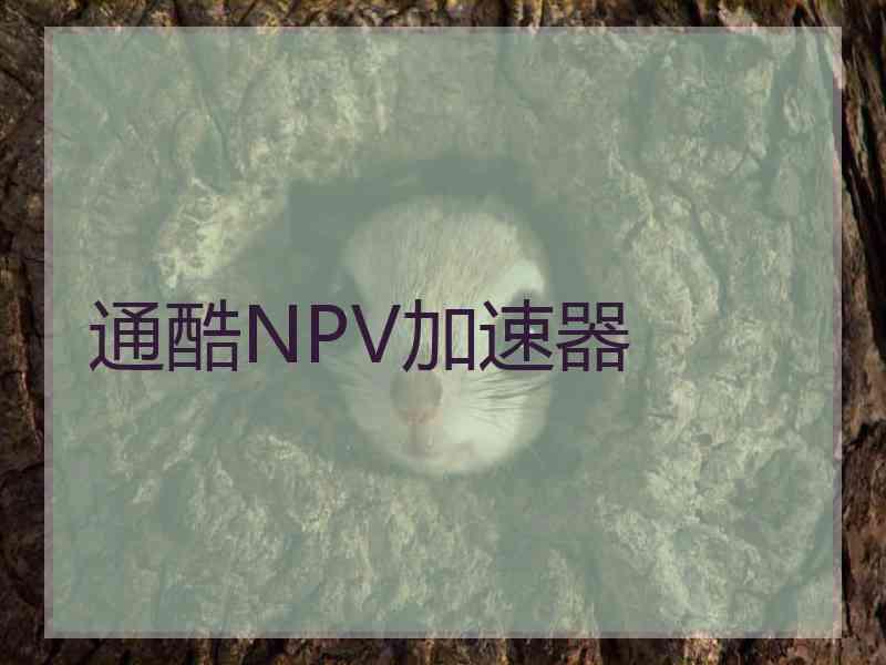 通酷NPV加速器