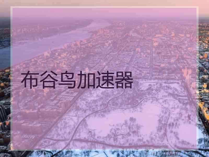 布谷鸟加速器