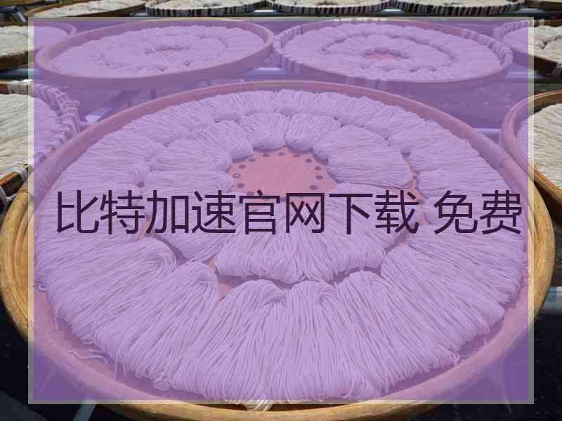 比特加速官网下载 免费