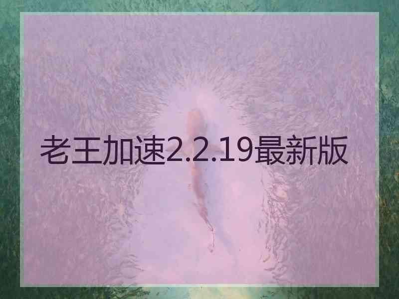 老王加速2.2.19最新版