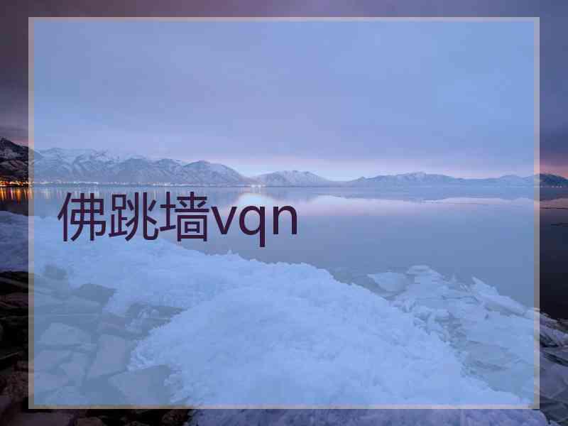 佛跳墙vqn