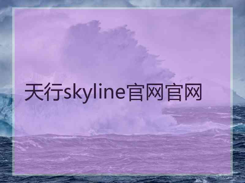 天行skyline官网官网