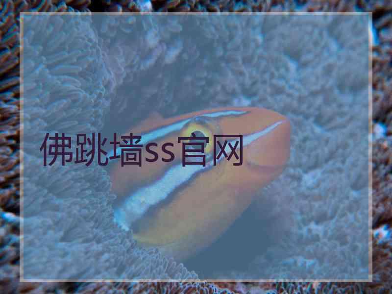 佛跳墙ss官网