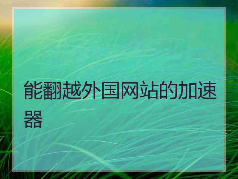能翻越外国网站的加速器