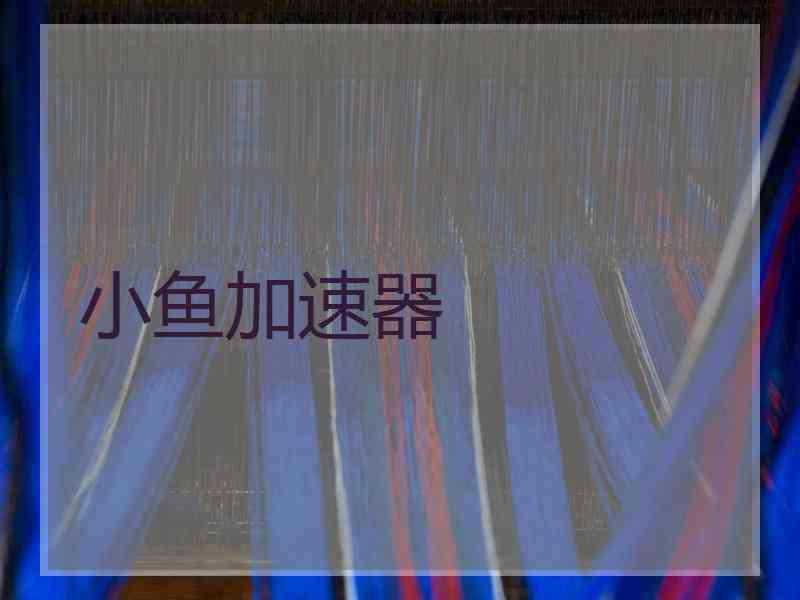 小鱼加速器