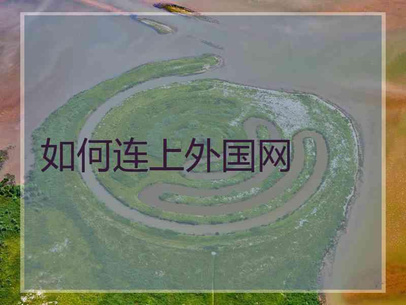 如何连上外国网
