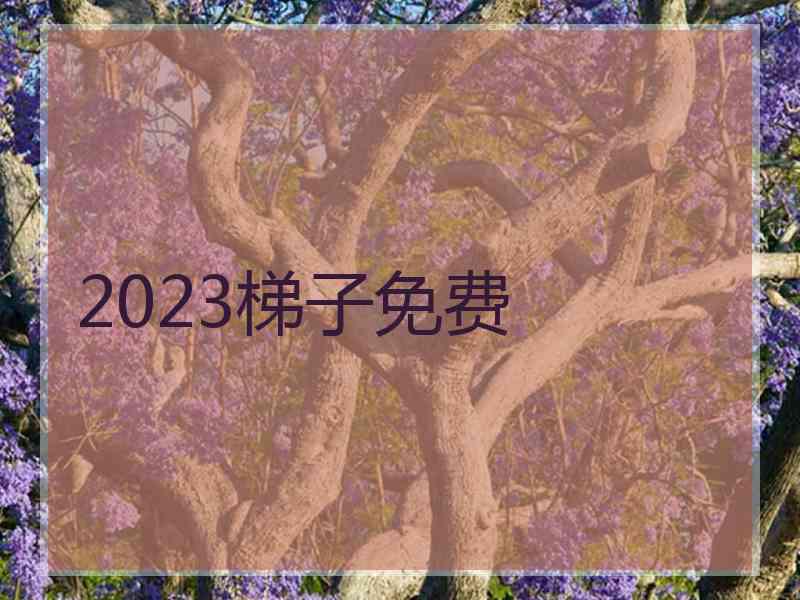 2023梯子免费